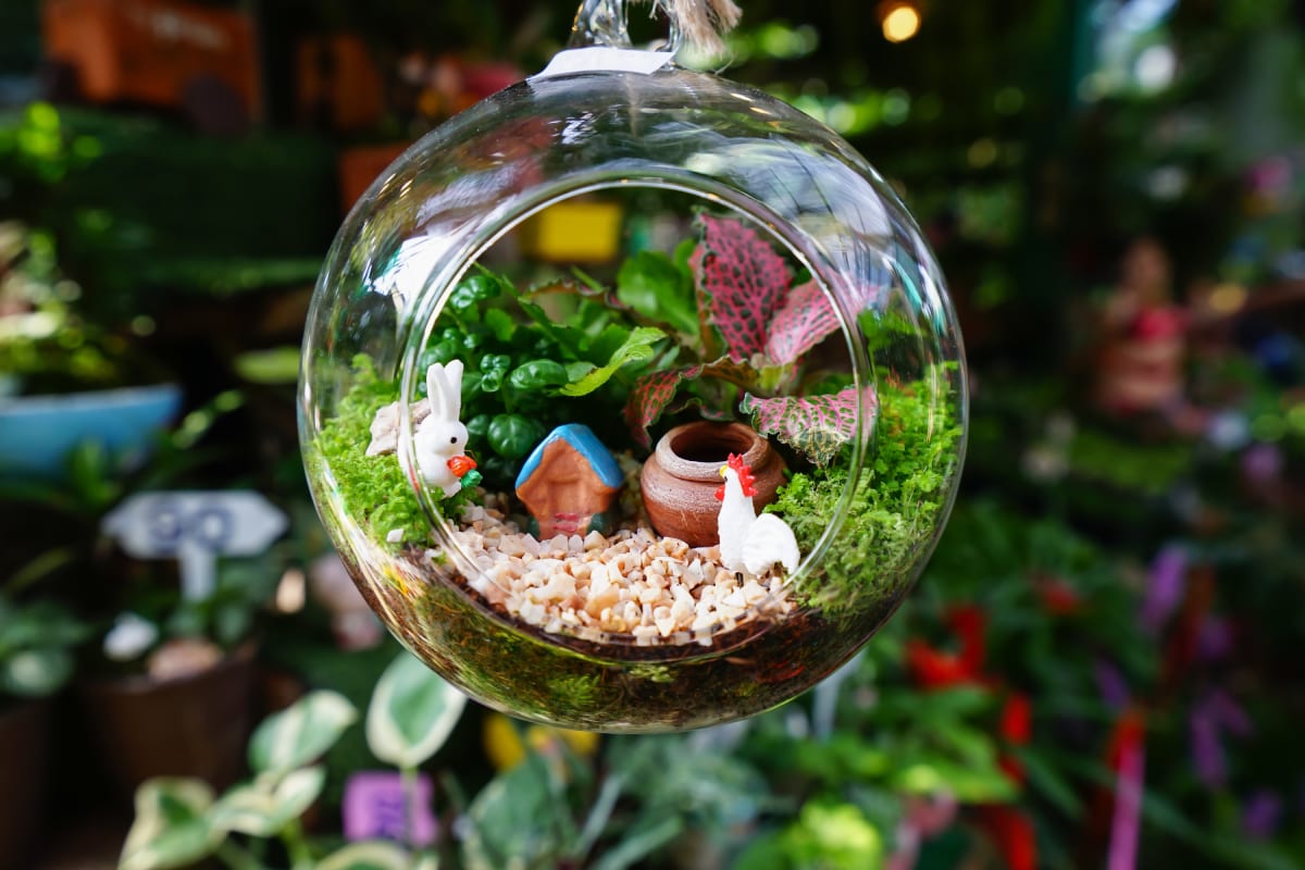 Hanging Terrarium With Decoration