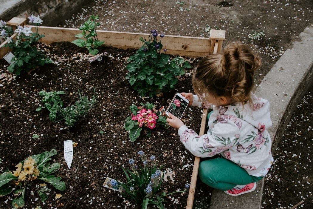 Little-Girl-Taking-Pictures-of-Garden-1