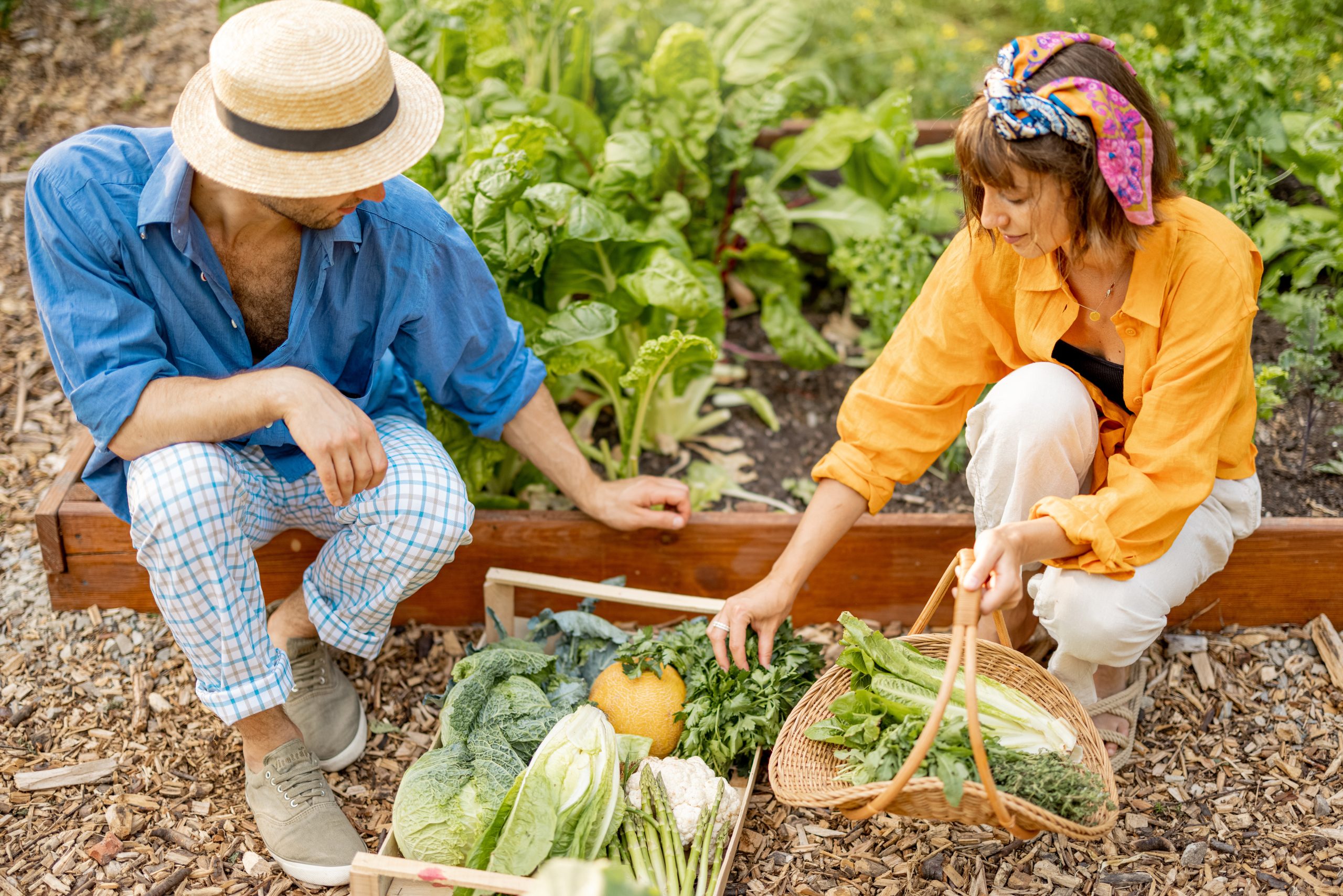 Food Garden In-Ground Bed