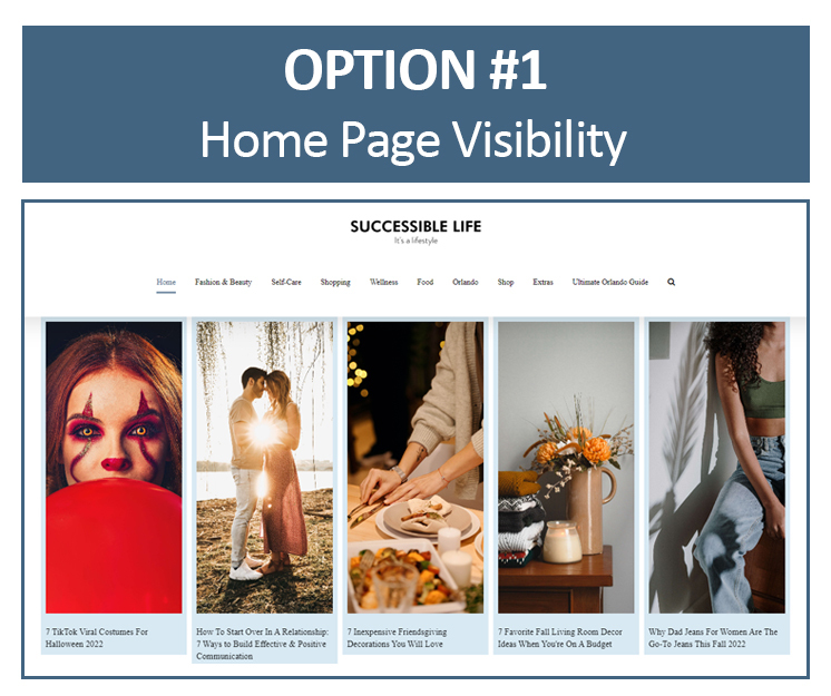 Guest Post (Visible From the Home Page) - Premium Package - From $300