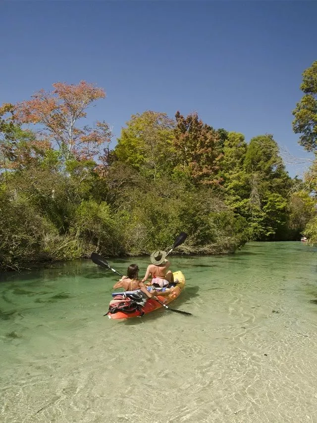 best springs in florida